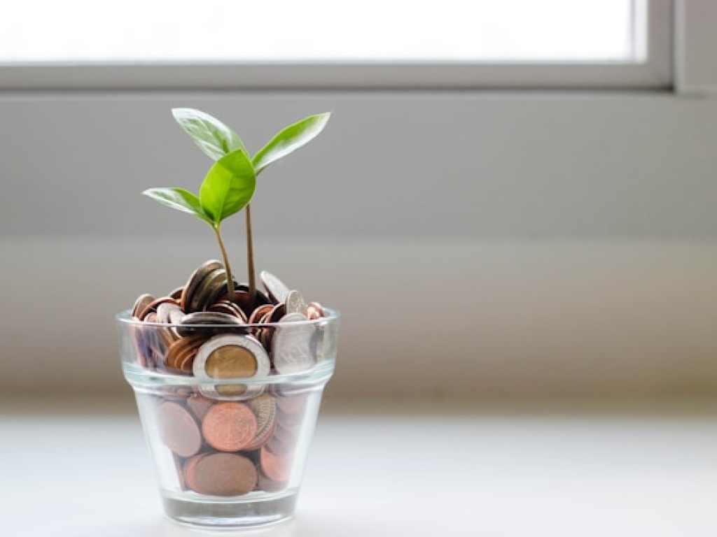 Understanding NDIS Funding: What Is and Isn't Covered
